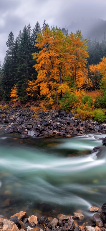 Autumn, River Stream, Flowing Water, Autumn foliage, Misty mountains, Rocky shore, Long exposure, Serene, Cloudy Sky, Autumn Scenery, Autumn season, 5K