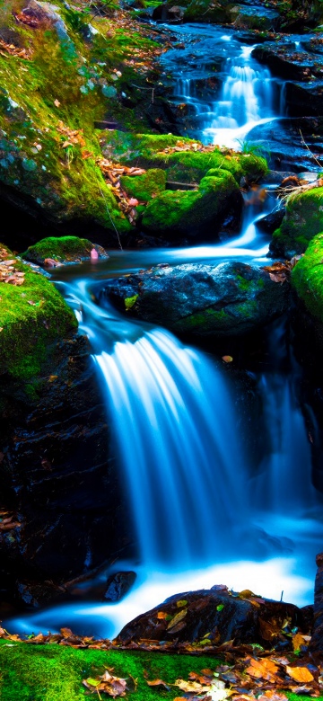 Mossy rocks, Green Moss, Autumn leaves, Forest, Water Stream, Long exposure, Serene, Flowing Water, Lush green field, Tranquility, 5K