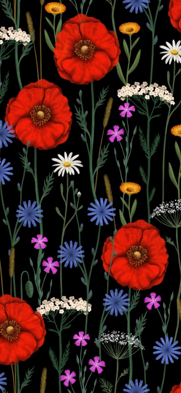 Poppies, Floral designs, Floral Background, Wildflowers, Botanical, Dark background, Flower patterns, 5K