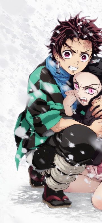 Nezuko Kamado, Tanjiro Kamado, Demon Slayer: Kimetsu no Yaiba