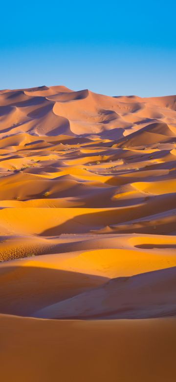 Sahara Desert, Merzouga, Morocco, Sand Dunes, Blue Sky, Sunny day, 5K, Summer