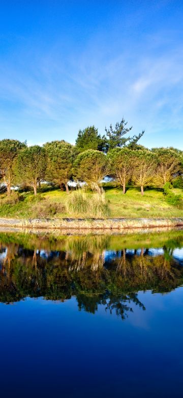 Green Trees, Blue Sky, Golf course, Pond, Water, Reflection, Green, Landscape, 5K, 8K