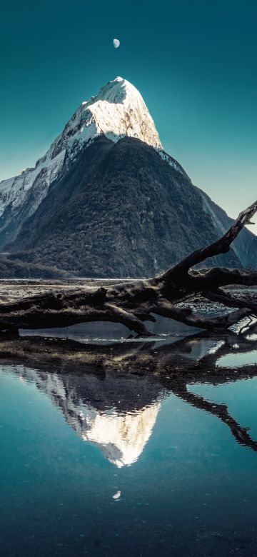 Mitre Peak, Moon, New Zealand, Milford Sound, Fallen tree, Snow mountains, Blue Sky, Water, Reflection, 5K