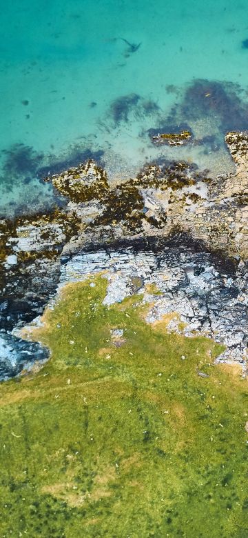 Green Island, Aerial view, Sea shore, Ocean blue, Rock island, Coast, Clear water