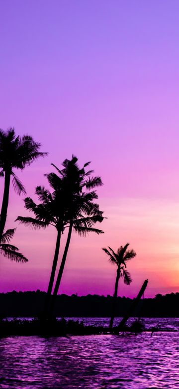 Purple Sunrise, Clear sky, Palm trees, Scenery, Backwaters, Sky view, 5K