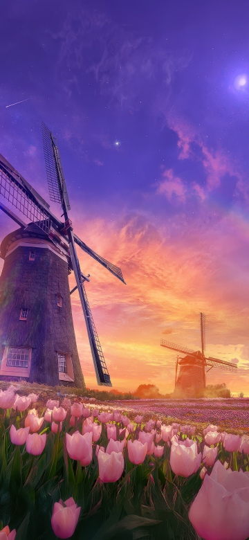 Tulips field, Windmill, Surrealism, Aesthetic, 5K, Sunset, Rainbow, Dreamy, Scenic