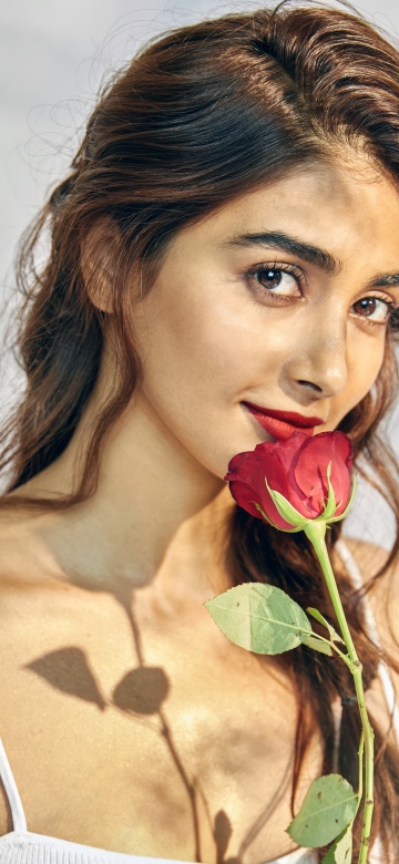 Pooja Hegde, Rose flower, 5K, Indian actress