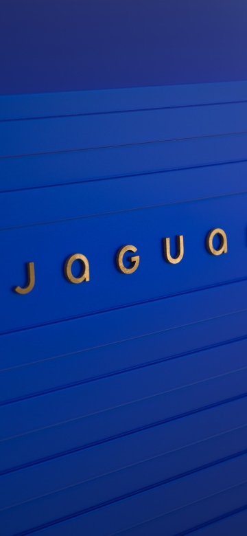 Jaguar, New logo, French Ultramarine, 5K, 8K, Blue aesthetic, Blue background