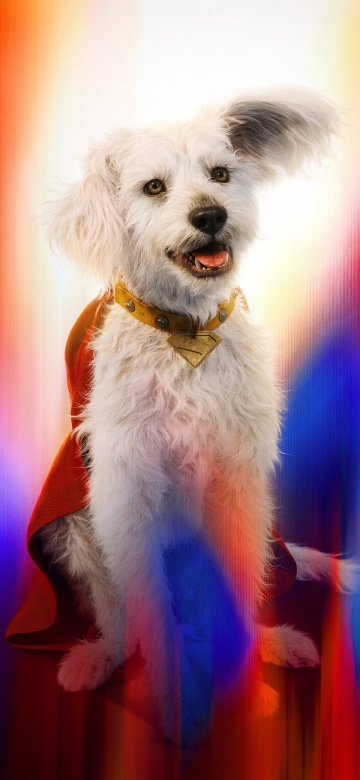 Krypto, Superdog, Superman, 2025 Movies, 5K, 8K