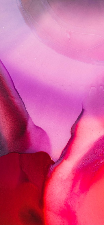 Fluid abstract, Vibrant, Pink abstract, 5K