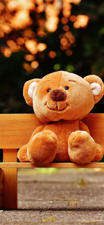 Teddy bear, Park bench, Soft toy, Wooden bench, Evening, Cute toy, 5K