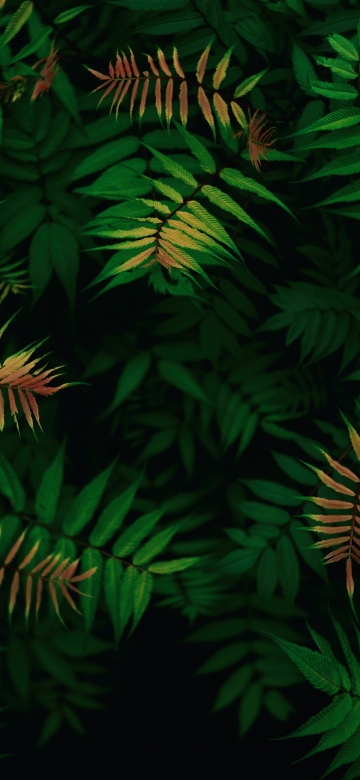 Green leaves, Foliage, Dark green, Tropical, Lush green field, Patterns, 5K, 8K