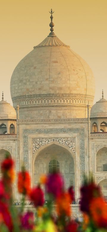 Taj Mahal, Agra, India, UNESCO World Heritage Site, Wonders of the World, 5K