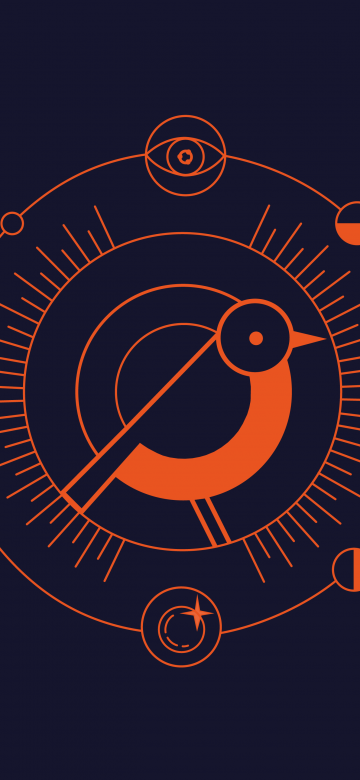 Ubuntu 24.10 Oracular Oriole, Navy blue background
