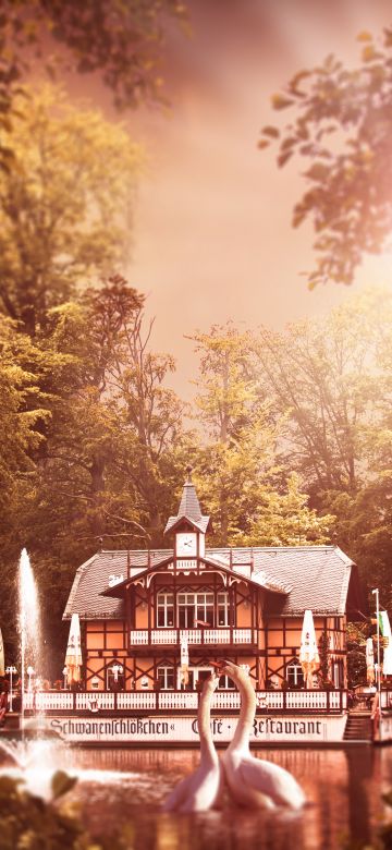 White Swan, House, Forest, Trees, Sun light, Lake, 5K