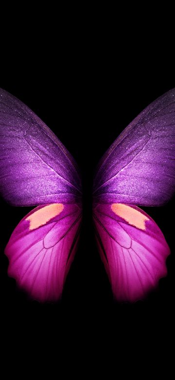 Purple Butterfly, Wings, Black background, Samsung Galaxy Fold, AMOLED, CGI, Girly, Stock