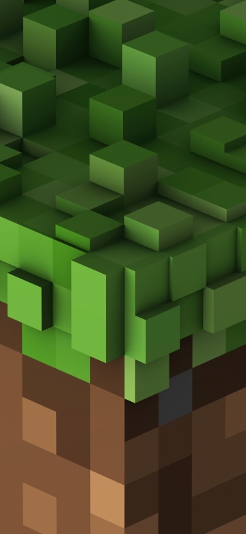 Minecraft, Blocks