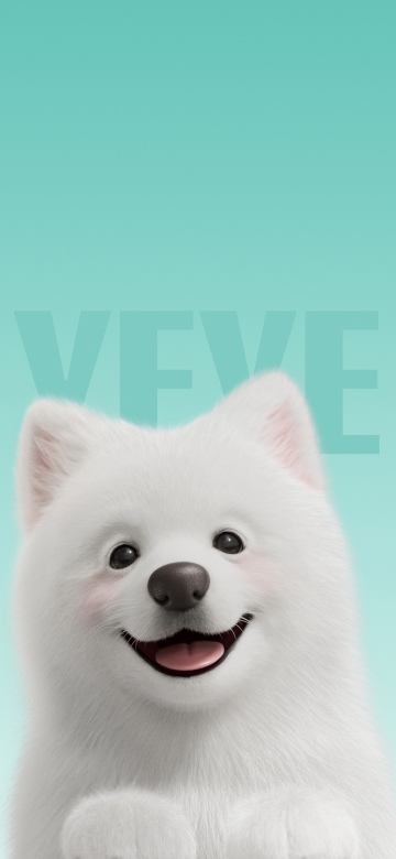 Samoyed, Cute dog