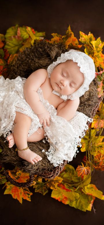 Newborn, White Dress, Fur, Autumn leaves, Brown, Dark background, Cute Baby, Basket, 5K, Brown aesthetic