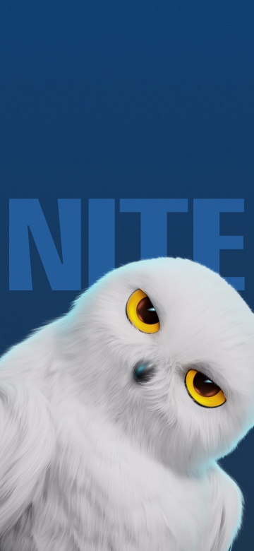 White Owl, Cute cartoon