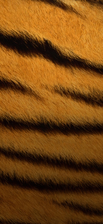 Tiger skin, Texture