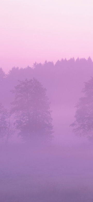 OS X Lion, Pink aesthetic