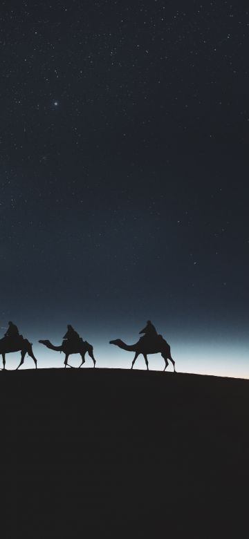 Camels, Silhouette, Moon, Dark background, Night sky, Stars, 5K, 8K