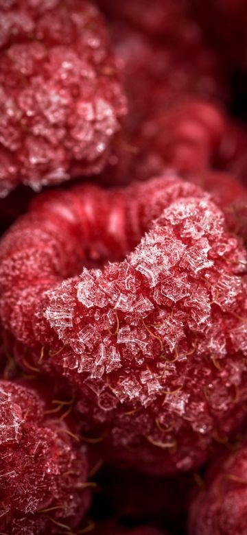 Frozen Raspberries, Red fruits, Closeup, Macro