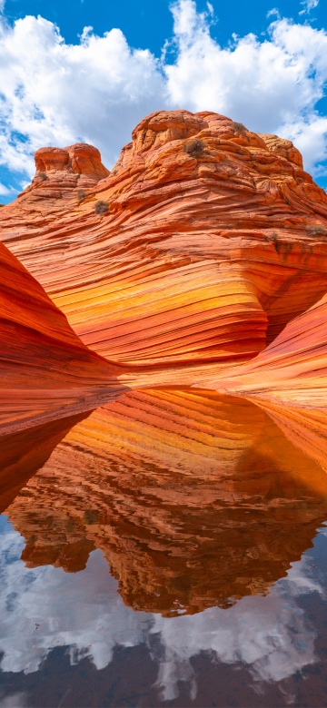 The Wave, Arizona