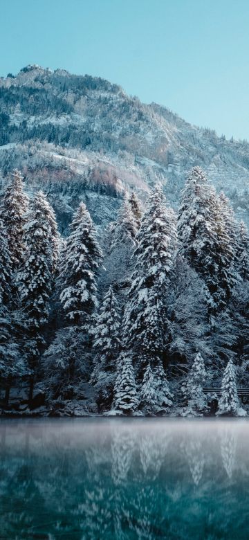 Snow mountains, Glacier, Frozen, Mist, Lake, Reflection, Snow covered, Trees, Winter forest, 5K