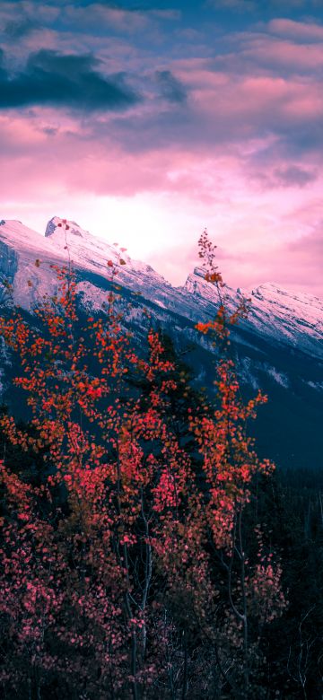 Mount Rundle, Canada, Golden hour, Clouds, Purple sky, Trees, Sunset, Mountain Peak, 5K