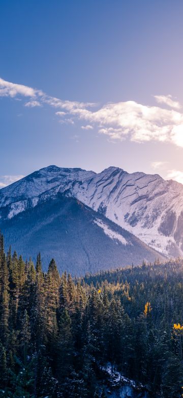 Snow mountains, Pine trees, Clear sky, Clouds, Sunset, Mountain range, 5K