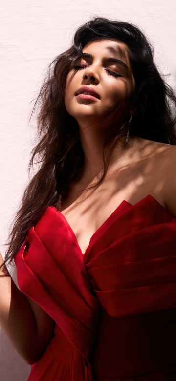 Kalyani Priyadarshan, Red dress