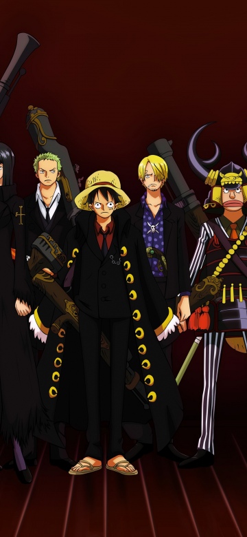 Luffy's crew, One Piece