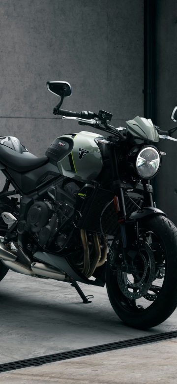 Triumph Trident 660, Muscular