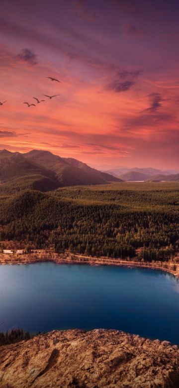 Scenic, Sunset, Lake, Mountains, Landscape, Birds, Purple sky, Evening, Dawn