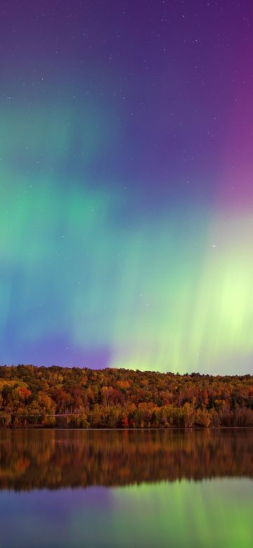 Aurora sky, Forest, River, Reflections, 5K