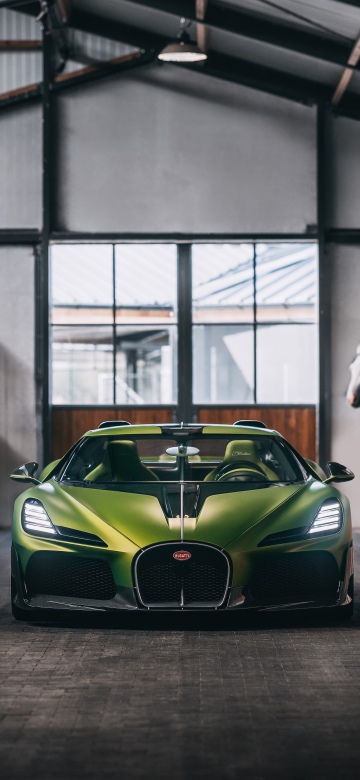 Bugatti Brouillard inspired by Ettore Bugatti's horse