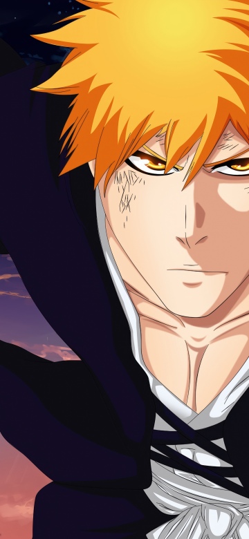 Ichigo Kurosaki, Action
