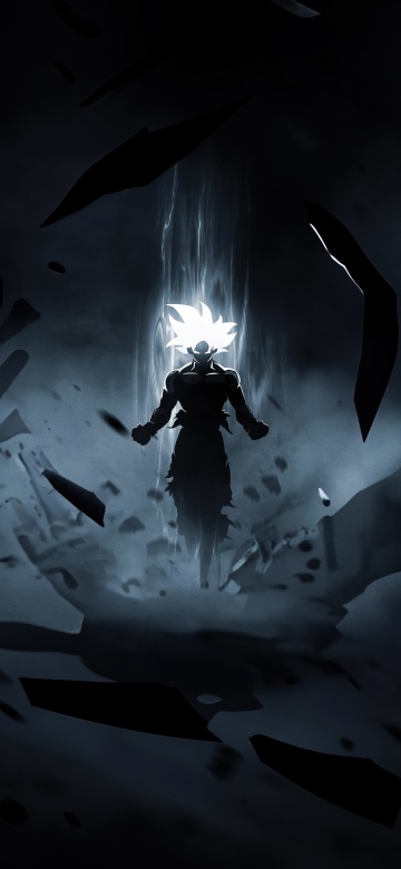 Goku, Perfected Ultra Instinct