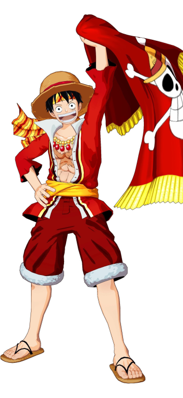 Monkey D. Luffy, Jolly Roger flag