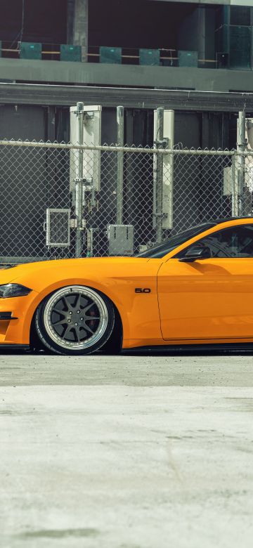 Ford Mustang, Orange cars, Custom tuning, 5K, 8K