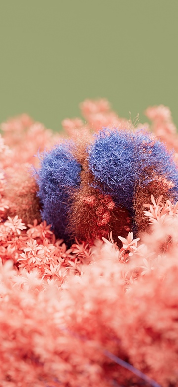 Floral, Pink moss