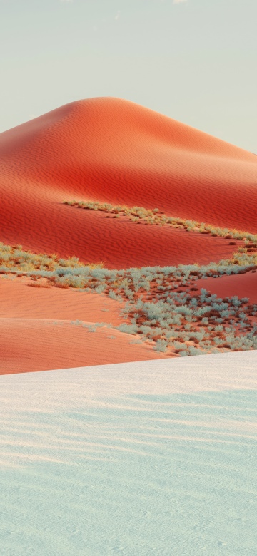 Red dunes, Desert