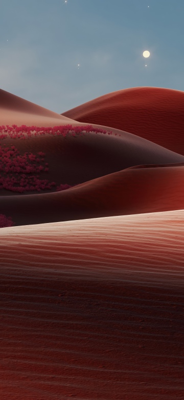 Terracotta, Sand Dunes