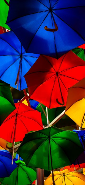 Umbrellas, Colorful, Multicolor, Artistique, Overhead, Pattern, Vibrant, 5K, 8K