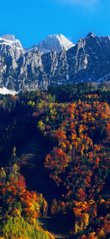 Autumn trees, Snow mountains, Blue Sky, Glacier, Landscape, Mountain range, Scenery, 5K