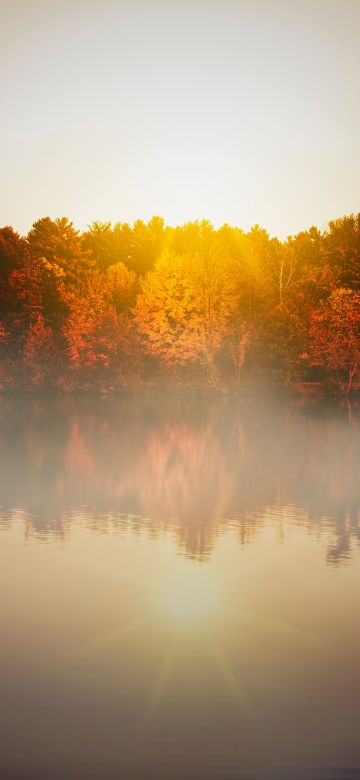 Autumn trees, Body of Water, Sunflare, Sunrise, Reflection, Lake, Morning, Fog, 5K, 8K