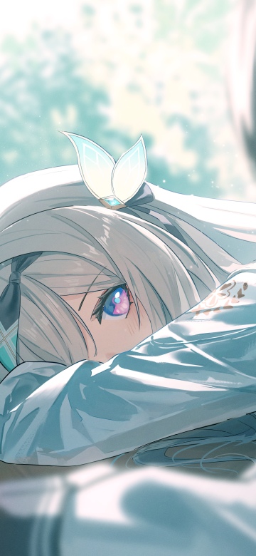 StelleFly, Honkai: Star Rail