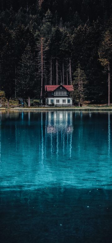 Dark Forest, House, Tall Trees, Woods, Lake, Body of Water, Reflection, Landscape, Scenery, 5K